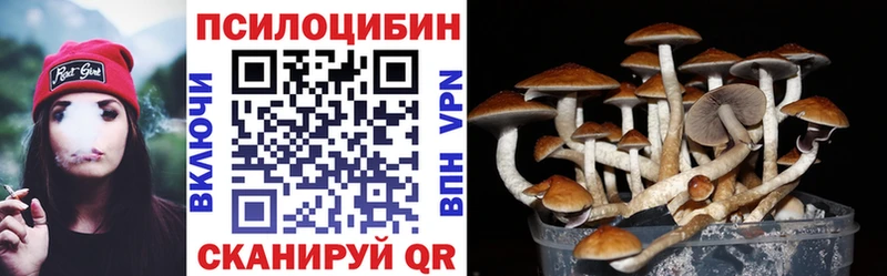 Псилоцибиновые грибы мухоморы  Ершов 